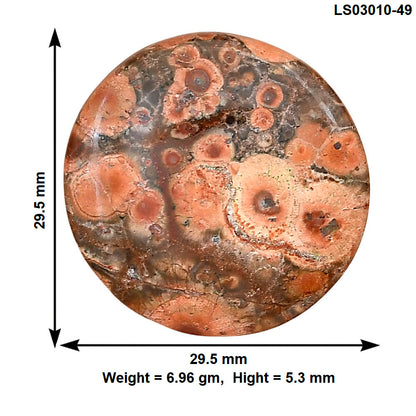 Poppy Jasper 29.5x29.5x5.3 mm Round Gemstone LS03010-49