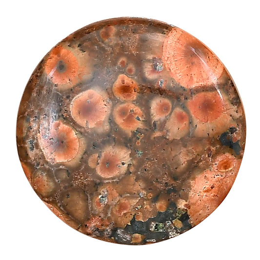 Poppy Jasper 28.5x28.5x5.7 mm Round Gemstone LS03013-49
