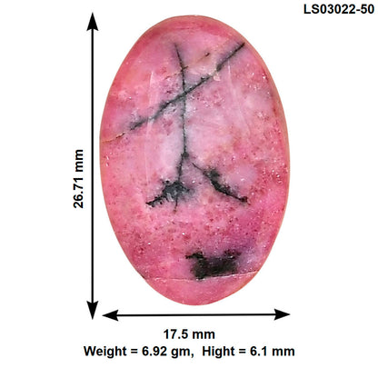 Rhodonite 26.71x17.5x6.1 mm Oval Gemstone LS03022-50