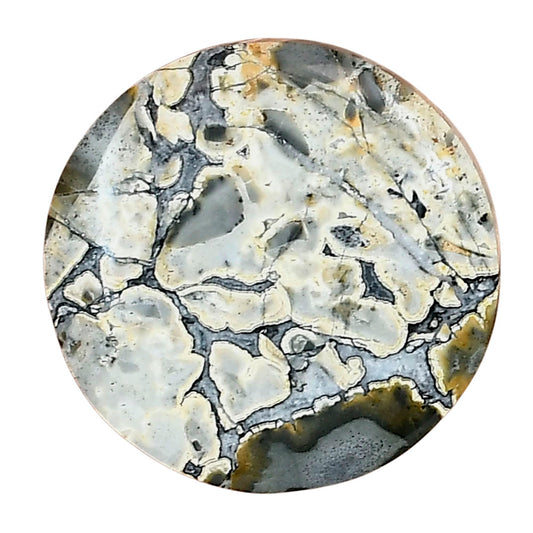 Maligano Jasper 24.66x24.66x4.6 mm Round Gemstone LS03211-53