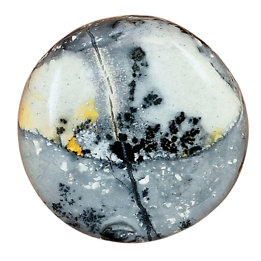Maligano Jasper 25.36x25.36x7 mm Round Gemstone LS03216-53