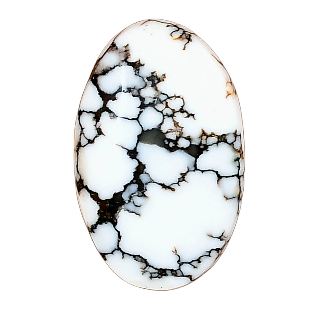 Wild Horse Jasper 26x16.4x5.2 mm Oval Gemstone LS03240-15