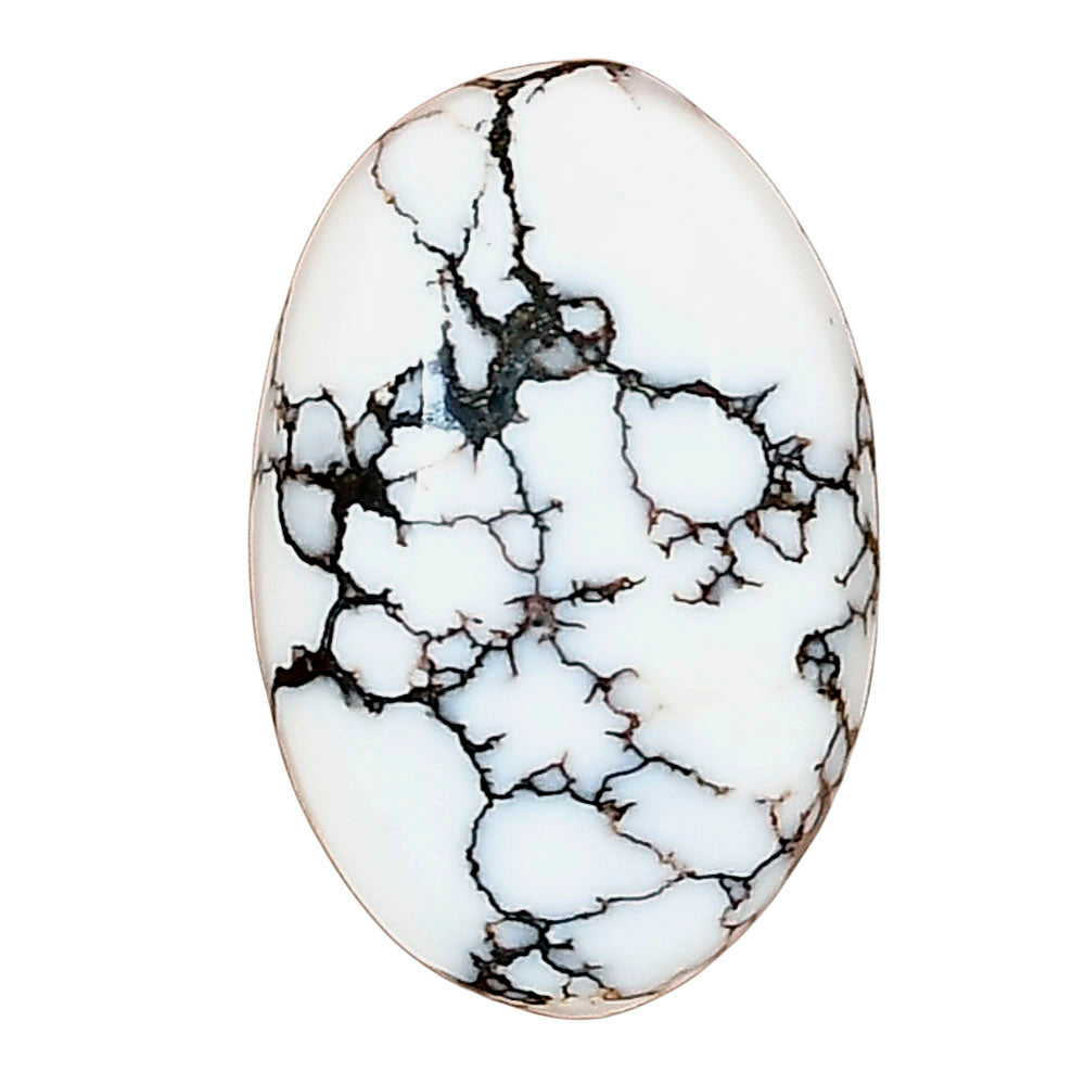 Wild Horse Jasper 25.04x16.33x6.2 mm Oval Gemstone LS03244-15