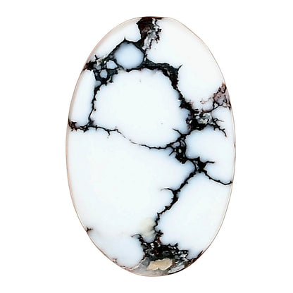 Wild Horse Jasper 27.72x17.95x4.3 mm Oval Gemstone LS03249-15