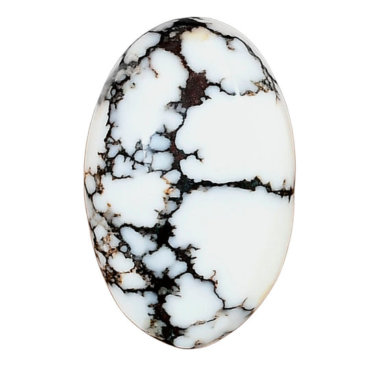 Wild Horse Jasper 29.06x18.42x6 mm Oval Gemstone LS03250-15