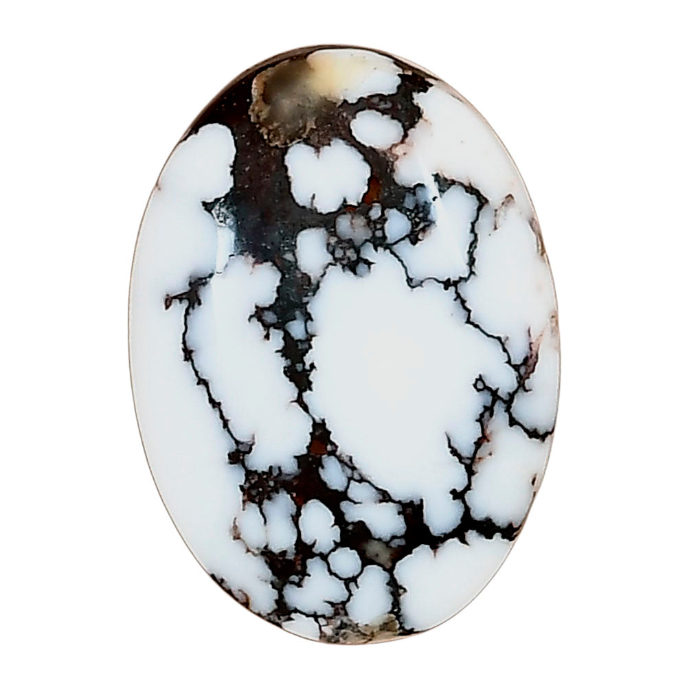 Wild Horse Jasper 25.5x18.3x6.6 mm Oval Gemstone LS03265-15