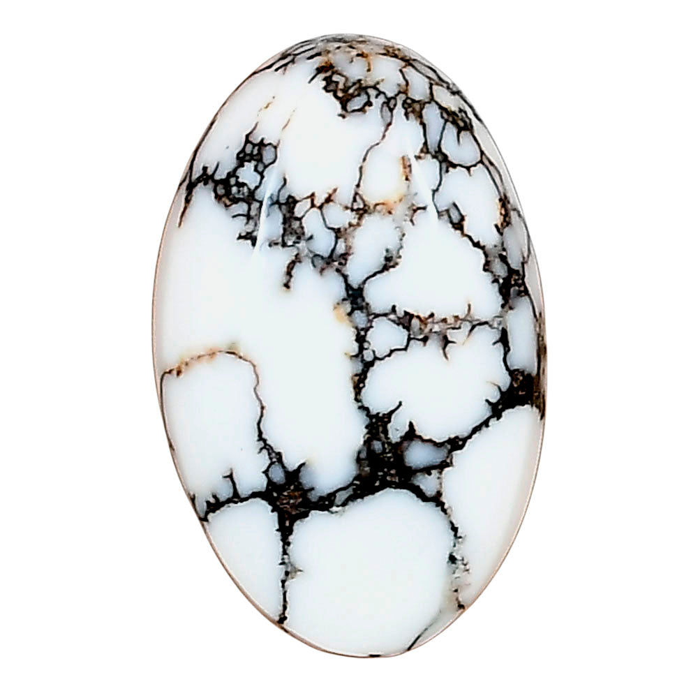 Wild Horse Jasper 25.45x16x5.9 mm Oval Gemstone LS03266-15