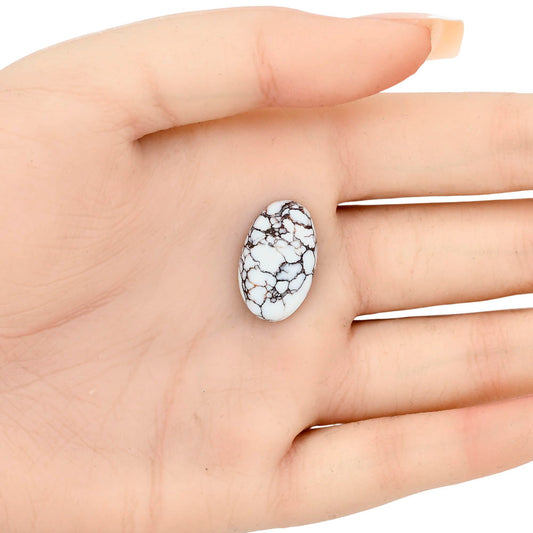 Wild Horse Jasper 20.77x12.8x6 mm Oval Gemstone LS03272-15