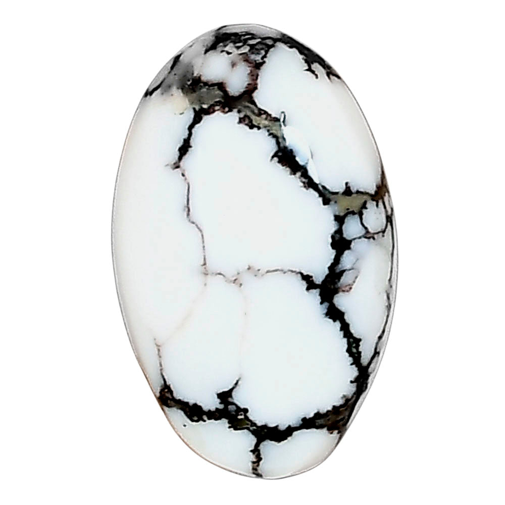 Wild Horse Jasper 21.76x13.5x5.7 mm Oval Gemstone LS03281-15