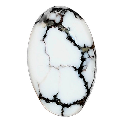 Wild Horse Jasper 21.76x13.5x5.7 mm Oval Gemstone LS03281-15
