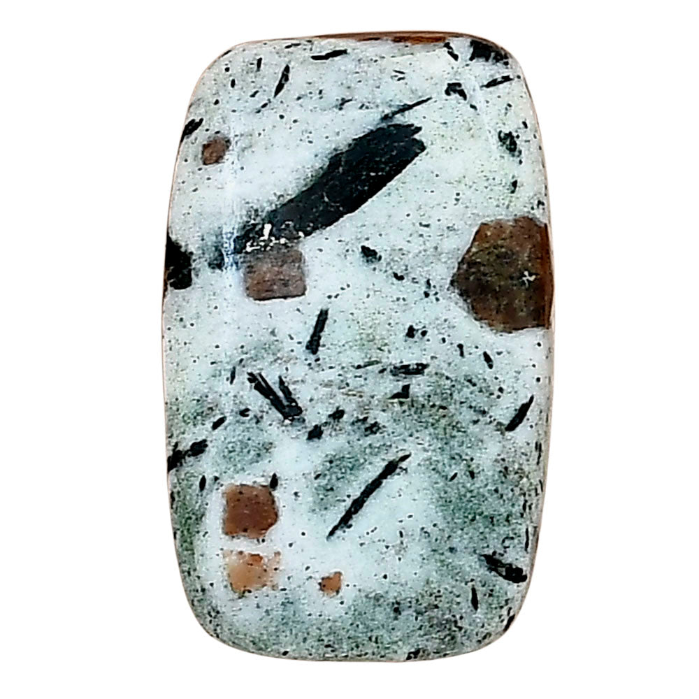 Hornblende 24.67x15.3x4.4 mm Baguette Gemstone LS03293-54