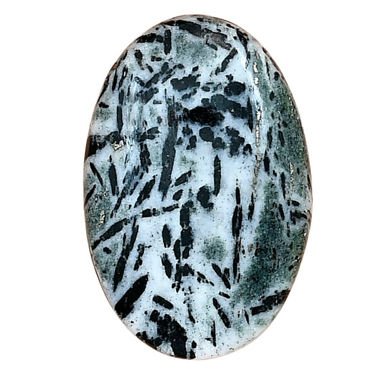 Hornblende 29.88x19.74x5.5 mm Oval Gemstone LS03300-54
