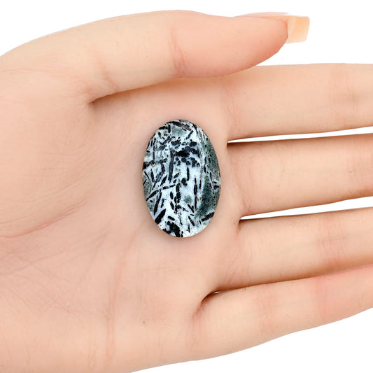 Hornblende 29.88x19.74x5.5 mm Oval Gemstone LS03300-54