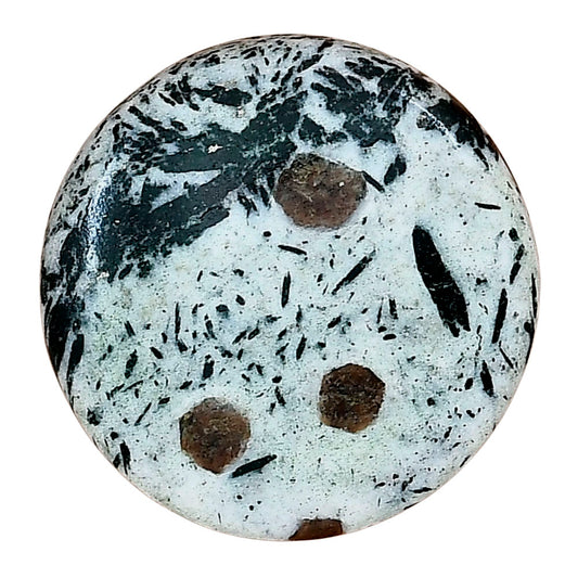 Hornblende 27.15x27.15x5 mm Round Gemstone LS03302-54