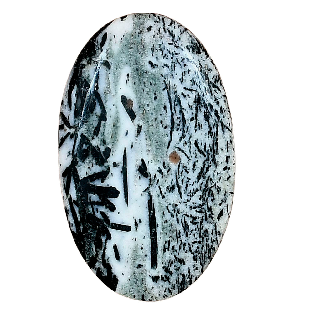 Hornblende 36.72x22.44x5.5 mm Oval Gemstone LS03305-54