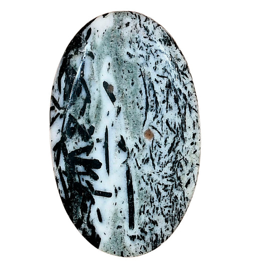 Hornblende 36.72x22.44x5.5 mm Oval Gemstone LS03305-54
