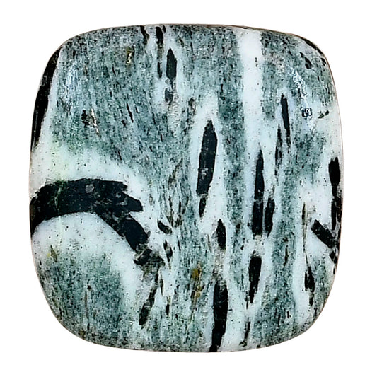 Hornblende 25.36x24.12x6.2 mm Baguette Gemstone LS03306-54
