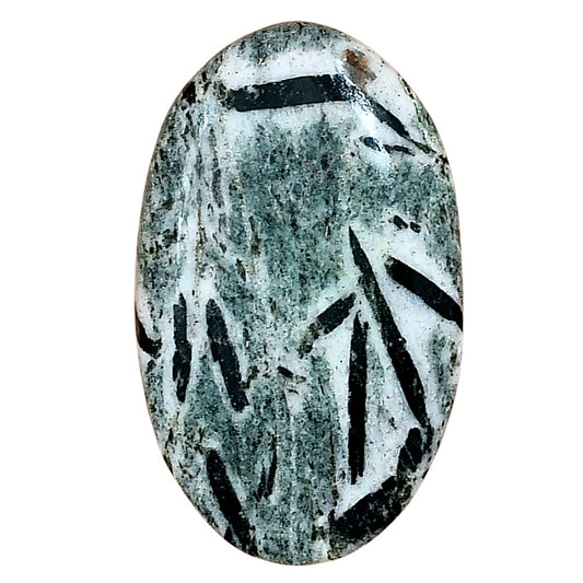 Hornblende 33.93x30.38x5 mm Oval Gemstone LS03307-54