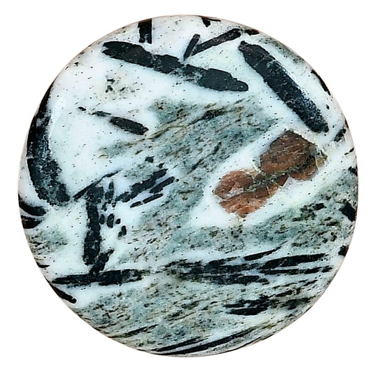 Hornblende 29.4x29.4x5.5 mm Round Gemstone LS03309-54