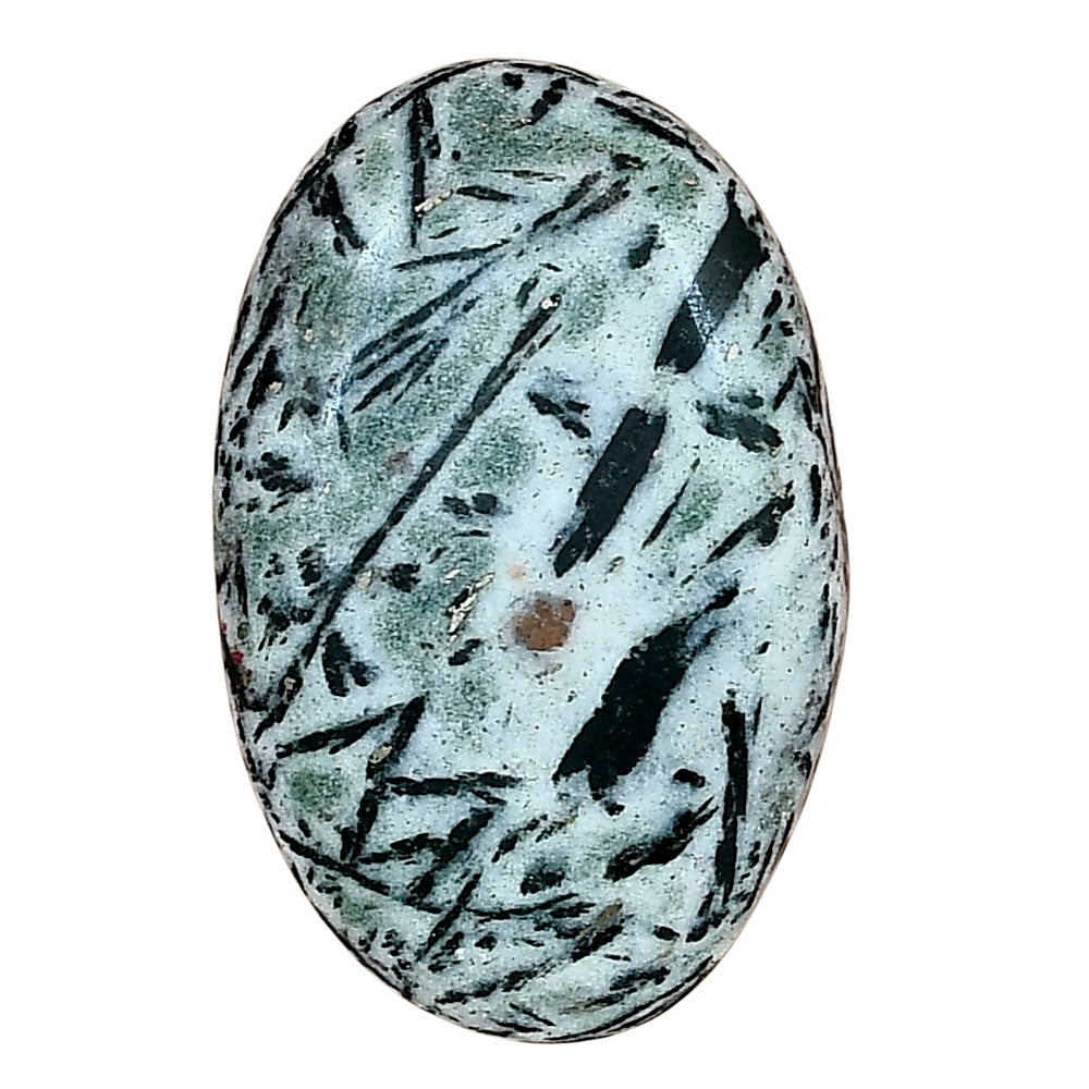Hornblende 32.77x21.04x5.5 mm Oval Gemstone LS03311-54