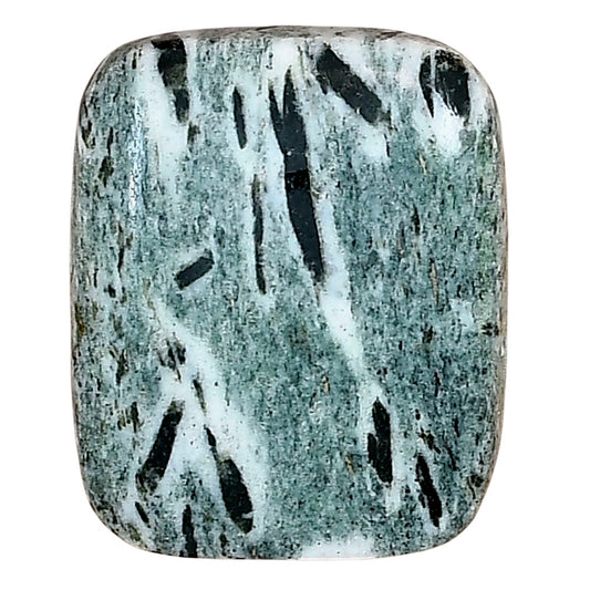 Hornblende 25.52x21.2x6.6 mm Baguette Gemstone LS03312-54