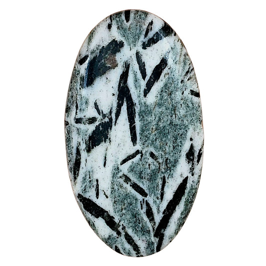 Hornblende 40.66x22.86x5.7 mm Oval Gemstone LS03315-54