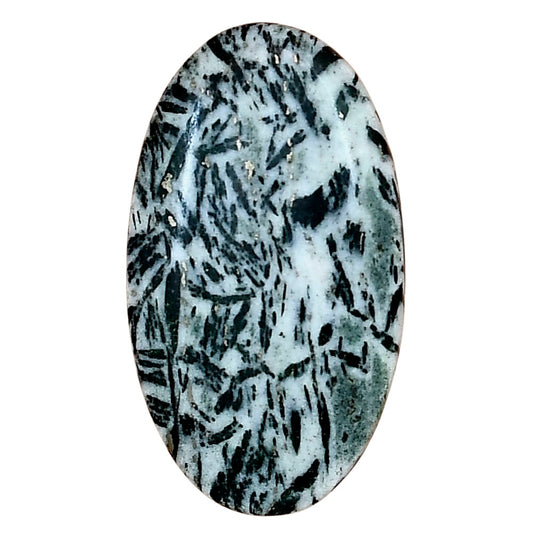 Hornblende 34.87x19.66x5.4 mm Oval Gemstone LS03317-54