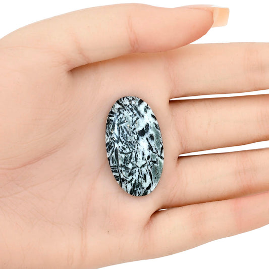 Hornblende 34.87x19.66x5.4 mm Oval Gemstone LS03317-54