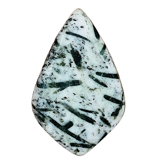 Hornblende 34.22x21.73x5.1 mm Fancy Gemstone LS03318-54