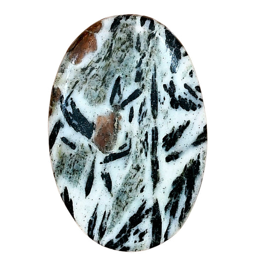Hornblende 34.95x23.4x4.7 mm Oval Gemstone LS03320-54