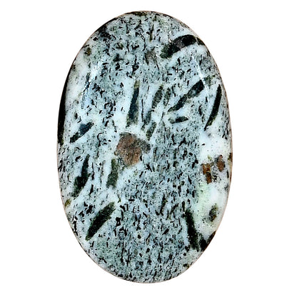 Hornblende 34.26x22.11x5.5 mm Oval Gemstone LS03324-54