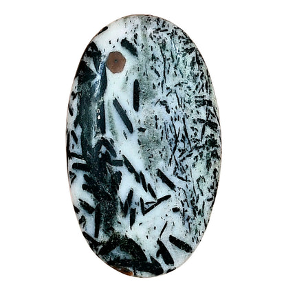 Hornblende 36.63x21.71x6.1 mm Oval Gemstone LS03328-54
