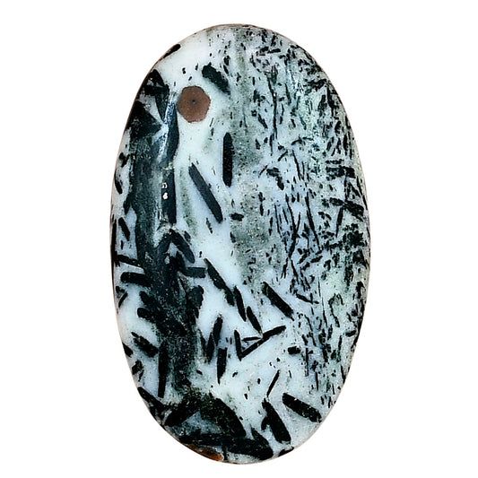 Hornblende 36.63x21.71x6.1 mm Oval Gemstone LS03328-54