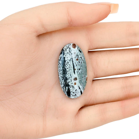 Hornblende 37.36x19.46x4.8 mm Oval Gemstone LS03329-54