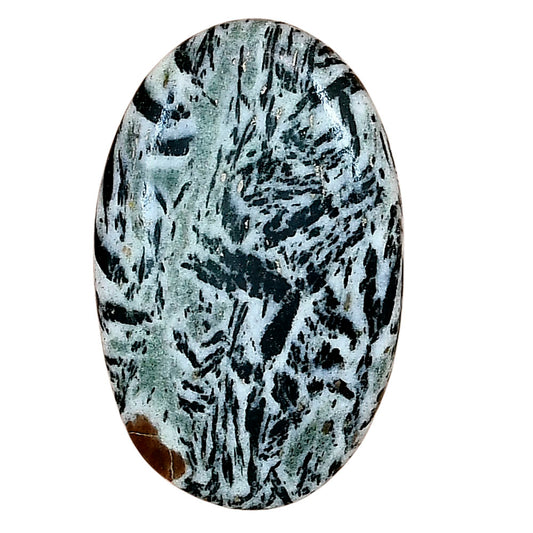 Hornblende 34.56x22x5.7 mm Oval Gemstone LS03332-54