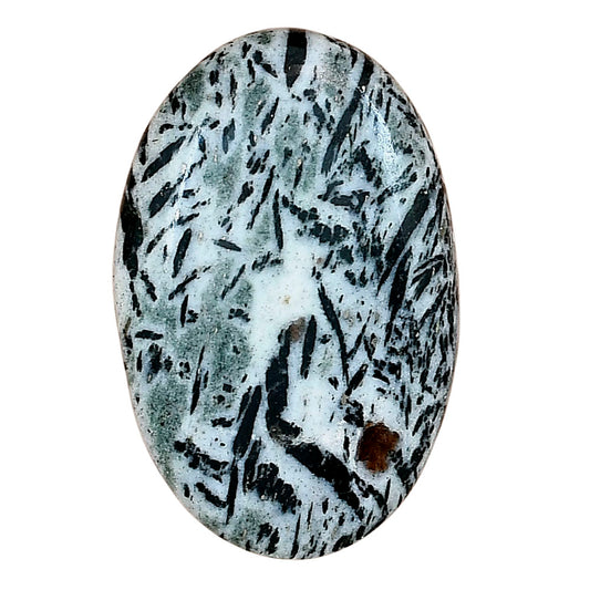 Hornblende 35.82x23.29x6.4 mm Oval Gemstone LS03334-54
