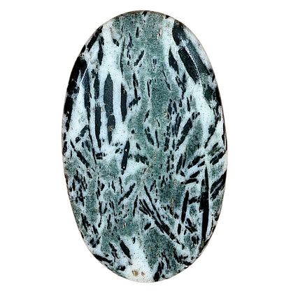 Hornblende 38.58x23.5x5 mm Oval Gemstone LS03336-54