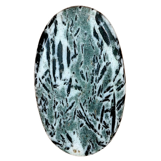 Hornblende 38.58x23.5x5 mm Oval Gemstone LS03336-54