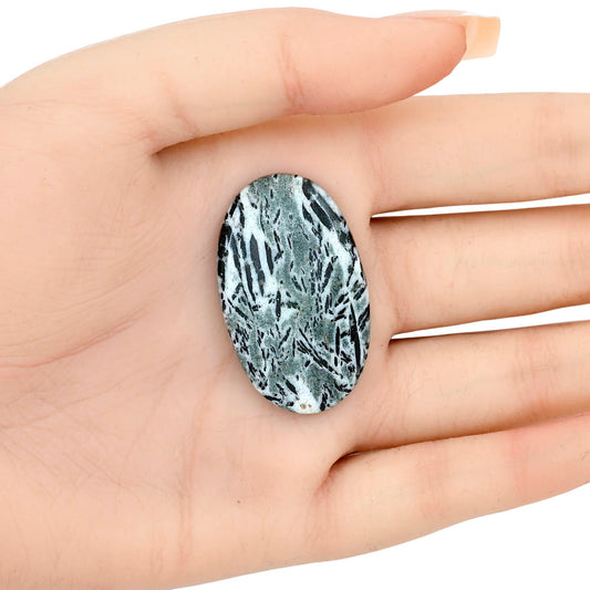Hornblende 38.58x23.5x5 mm Oval Gemstone LS03336-54