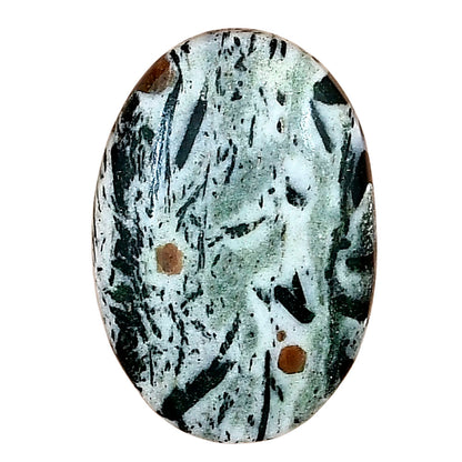 Hornblende 28.5x19.6x6.3 mm Oval Gemstone LS03337-54