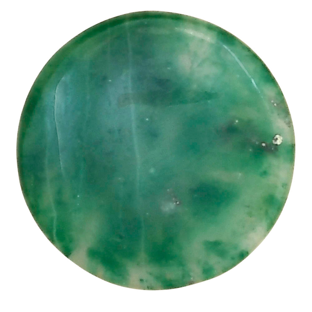 Nephrite Jade 23.6x23.6x4 mm Round Gemstone LS03352-55