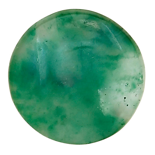 Nephrite Jade 19.5x19.5x5 mm Round Gemstone LS03358-55