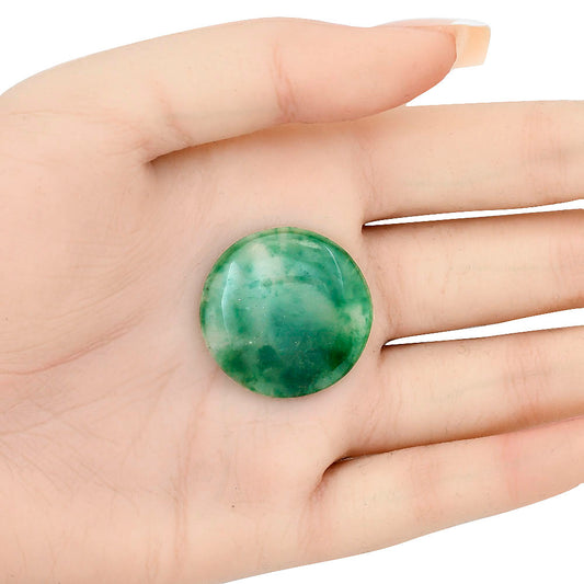 Nephrite Jade 27.75x27.75x5.8 mm Round Gemstone LS03366-55