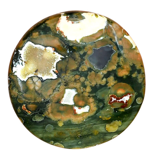 Rhyolite - Rainforest Jasper 36.6x36.6x6.5 mm Round Gemstone LS03464-58