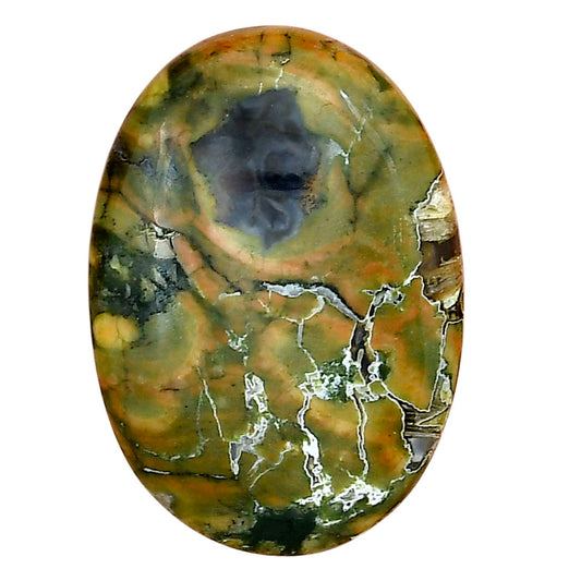 Rhyolite - Rainforest Jasper 31.75x22.5x6.5 mm Oval Gemstone LS03470-58