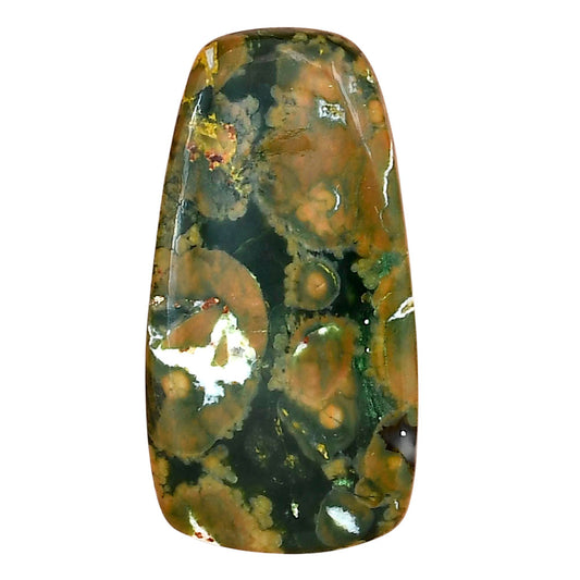 Rhyolite - Rainforest Jasper 36.15x18.8x5.6 mm Fancy Gemstone LS03471-58