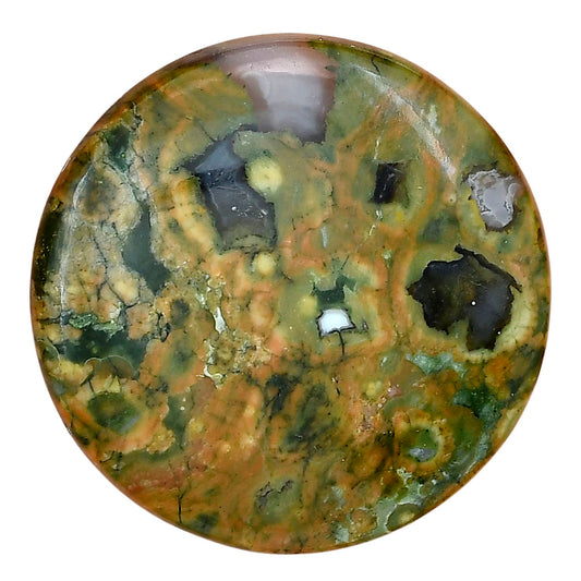 Rhyolite - Rainforest Jasper 37.7x37.7x6 mm Round Gemstone LS03476-58