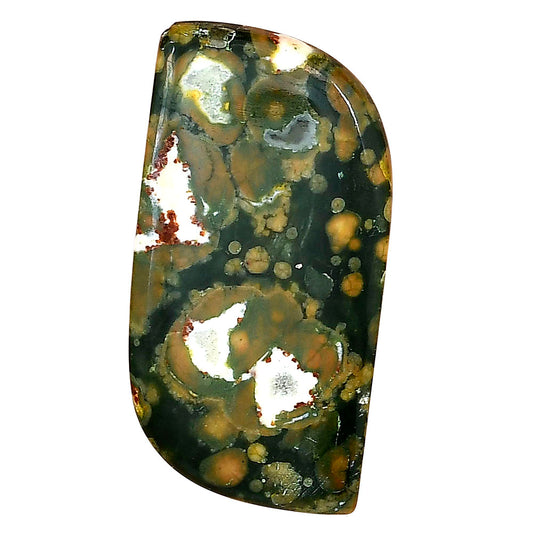 Rhyolite - Rainforest Jasper 36.6x18.6x4.5 mm Fancy Gemstone LS03478-58