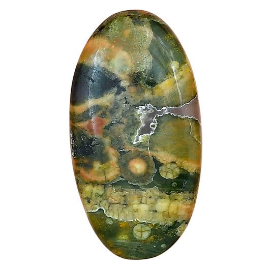 Rhyolite - Rainforest Jasper 34.7x18.3x6 mm Oval Gemstone LS03479-58