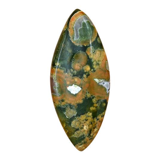 Rhyolite - Rainforest Jasper 48.75x20.55x6mm Marquise Gemstone LS03481-58
